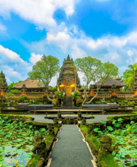 Things To Do In Ubud